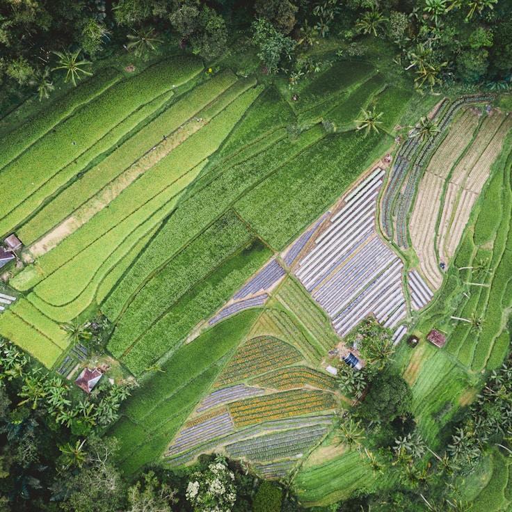 Family terraces and cafés for calm evenings in Toronto